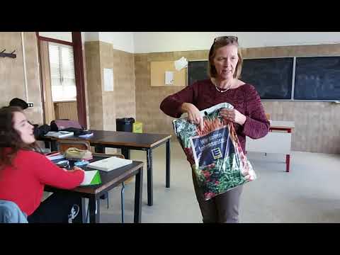 Copernico Luxemburg Lezione di tedesco