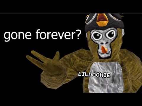 What's next for lil dookie?