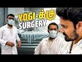 Yogi க்கு Surgery யா Unexpected Incident Myna Wings