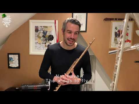 Haynes St Patrick's Day Challenge!