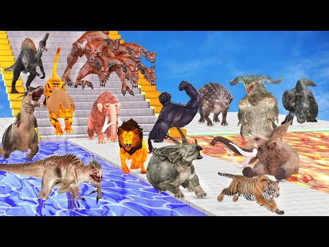 Dinosaurs Vs Animals Falling Down the Stairs into Lava Path - Stairs Championship of All Units