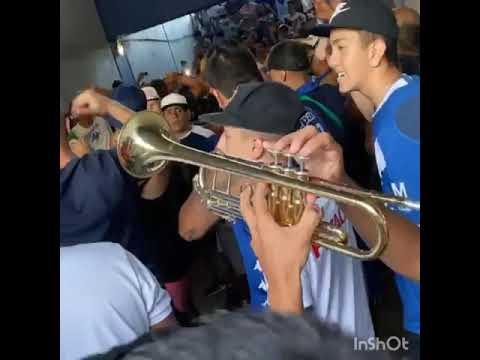 "La pandilla del liniers lo seguimos a velez a donde vaa" Barra: La Pandilla de Liniers • Club: Vélez Sarsfield