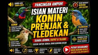 Download lagu PANCINGAN ISIAN MATERI KONIN, PRENJAK & TLEDEKAN PALING JERNIH! mp3 Download lagu PANCINGAN ISIAN MATERI KONIN, PRENJAK & TLEDEKAN PALING JERNIH! mp3