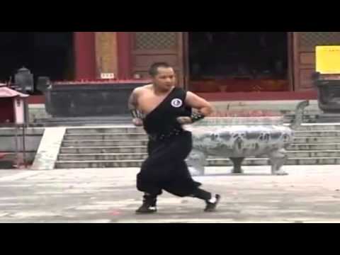 download lagu mp3 mp4 Hu He Shuang Xing, download lagu Hu He Shuang Xing gratis, unduh video klip Hu He Shuang Xing