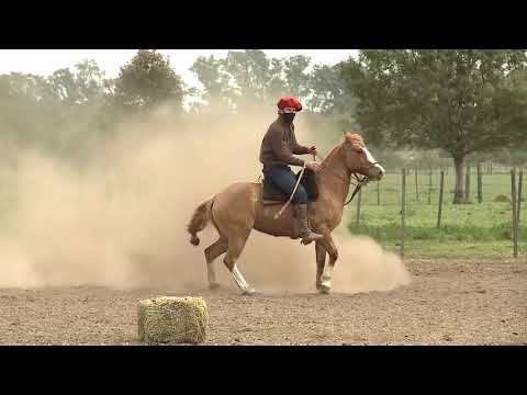 Domador del año Rincón 2020 HORACIO CASIN en CHARQUE CENTELLA