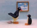 Aaf Pingu S01e03 Pingu Helps With Incubating Dvdrip Xvid