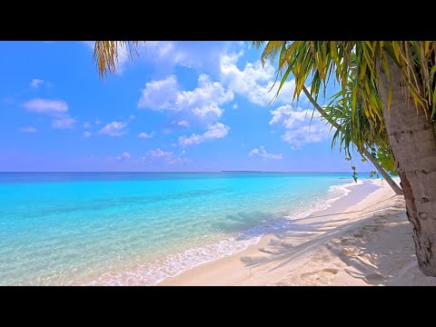 Maldives Ocean 4K 🏝 Tropical Beach in Summer. Ocean sounds for sleep and study