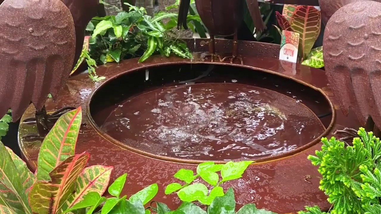 New water features 2020