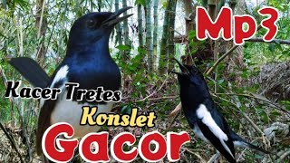 Download lagu Mp3 Suara Kacer Tretes Gacor Konslet..‼️Durasi Pendek Suara Jernih #shortsvideo #shortsviral mp3 Download lagu Mp3 Suara Kacer Tretes Gacor Konslet..‼️Durasi Pendek Suara Jernih #shortsvideo #shortsviral mp3