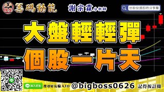 【大戶羅盤籌碼動能】 #謝宗霖0904，大盤輕輕彈 個股一片天 (圖)