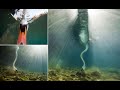 French photographer captures underwater shots of a swan