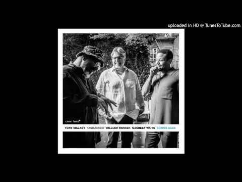 Bitter Dream - Tony Malaby's Tamarindo Trio