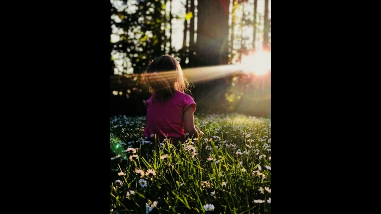 Mindfulness meditations by Terri Allen