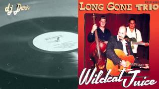 Long Gone Trio - My Well's Run Dry