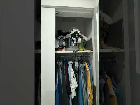 video 2