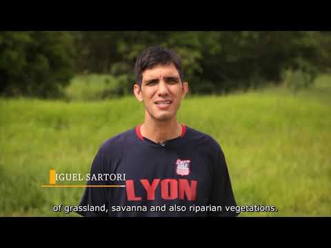 Semeadura Direta no Cerrado (vídeo legendado em inglês)