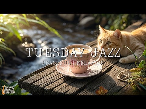Tuesday Jazz☕ | Peaceful & Relaxing Coffee Shop Jazz Music for Work, Study, and Calm Days | JazzMood