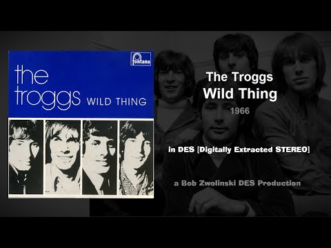 The Troggs – Wild Thing – 1966 [DES STEREO]