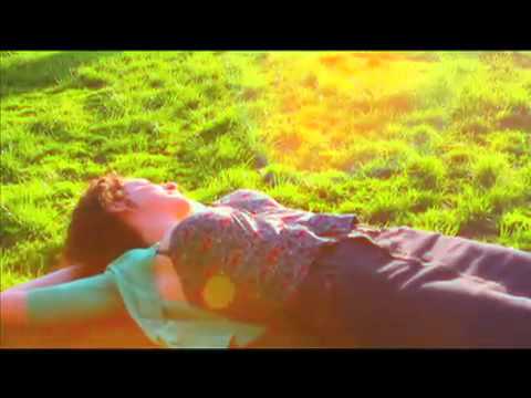 THIRD OF NEVER - Bag Of Boxes - Directed by Mollie Israel