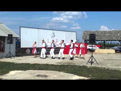 Podgoria Alira Romania  2015