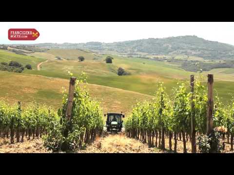 Via Francigena Camino to Rome - Siena to Viterbo, Italy - Unravel Travel TV