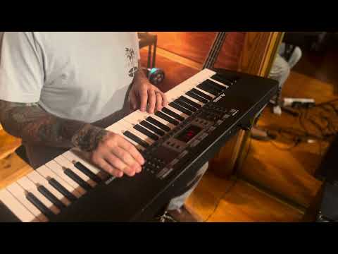 Alesis Harmony 61 review s as nd demonstration