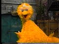 Sesame Street And Barney Are PBS Sesame Backyard Gang
