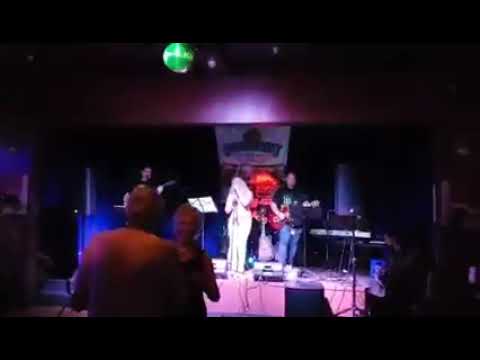 Promotional video thumbnail 2 for The Honeybadgers