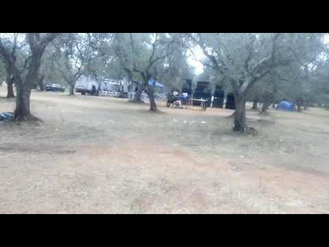 Disturbass decade party