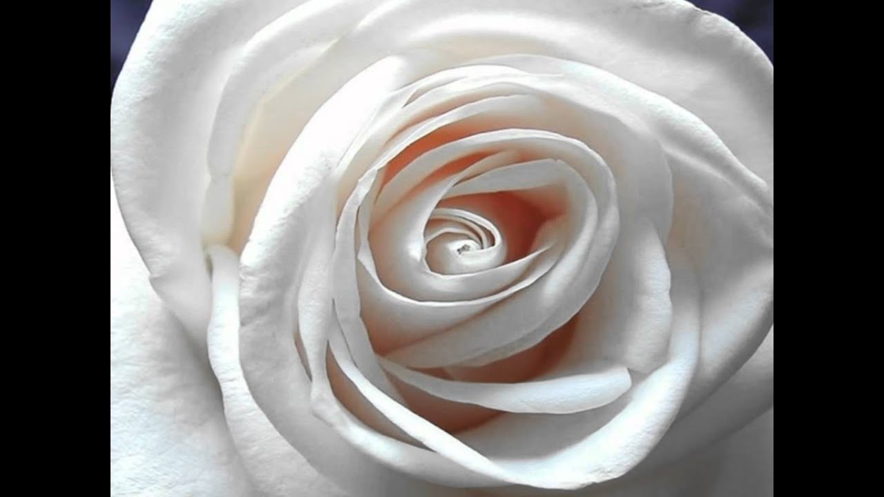 Jawan Jawan Yeh Tan Badan Lyrics  | Naam Kya Hai | Amitabh Bachchan Corporation Ltd | Abhijeet Bhattacharya, Sushma Shrestha (Poornima) | Anand Shrivastav, Milind Shrivastav