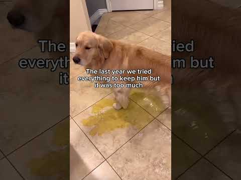 I will love you forever ♾️💔