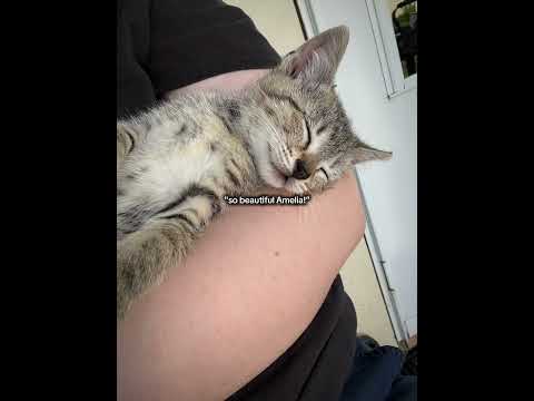 Rest in peace Choco me and your sister Kiwi miss you so very much