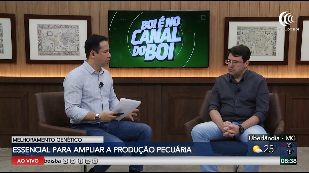 Programas de melhoramento genético ajudam a ampliar e melhorar a produção pecuária