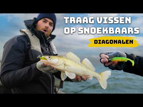 Longlines in Winter Thom Prust and Luc