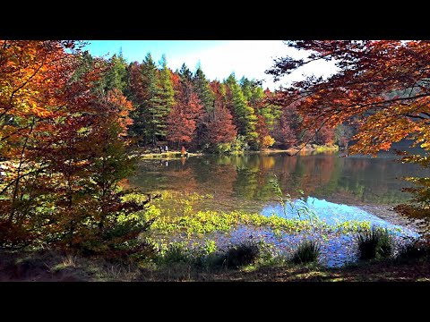 LAGO CALAMONE - Ventasso