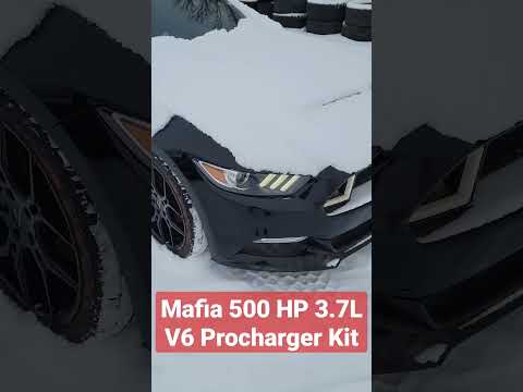Mafia 500 HP 3.7L V6 Procharger Kit