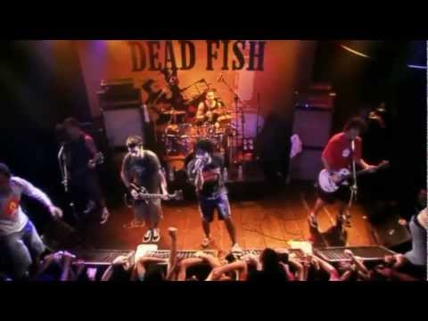 MTV Apresenta Dead Fish (Show Completo)