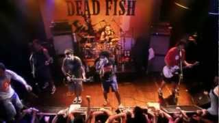 MTV Apresenta Dead Fish (Show Completo)
