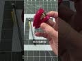 Staple Gun