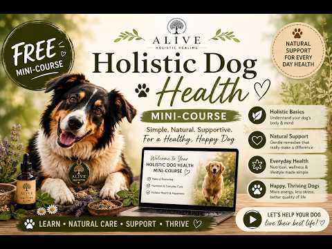 FREE Mini Course: Introduction to Holistic Dog Health