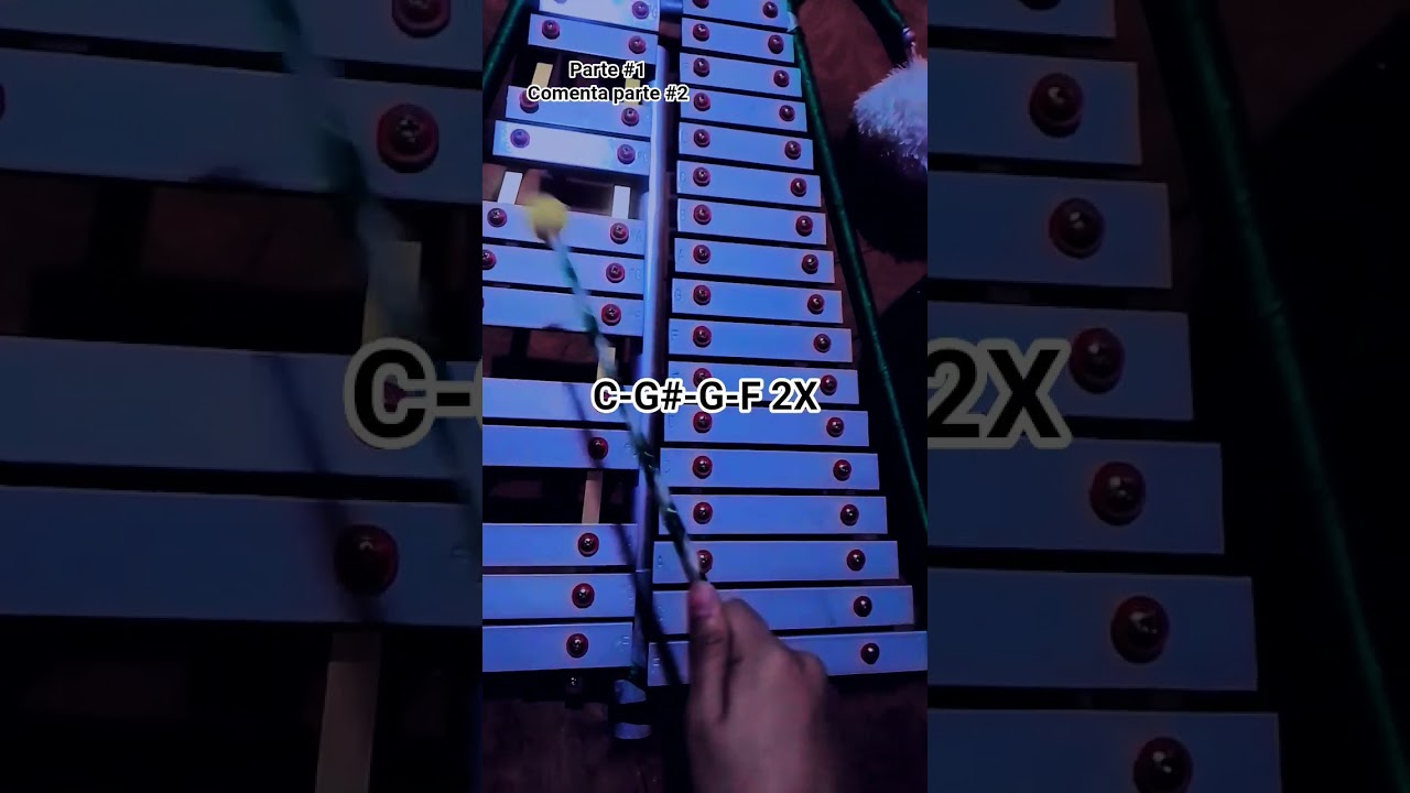 canciones fáciles y rápidas en lira