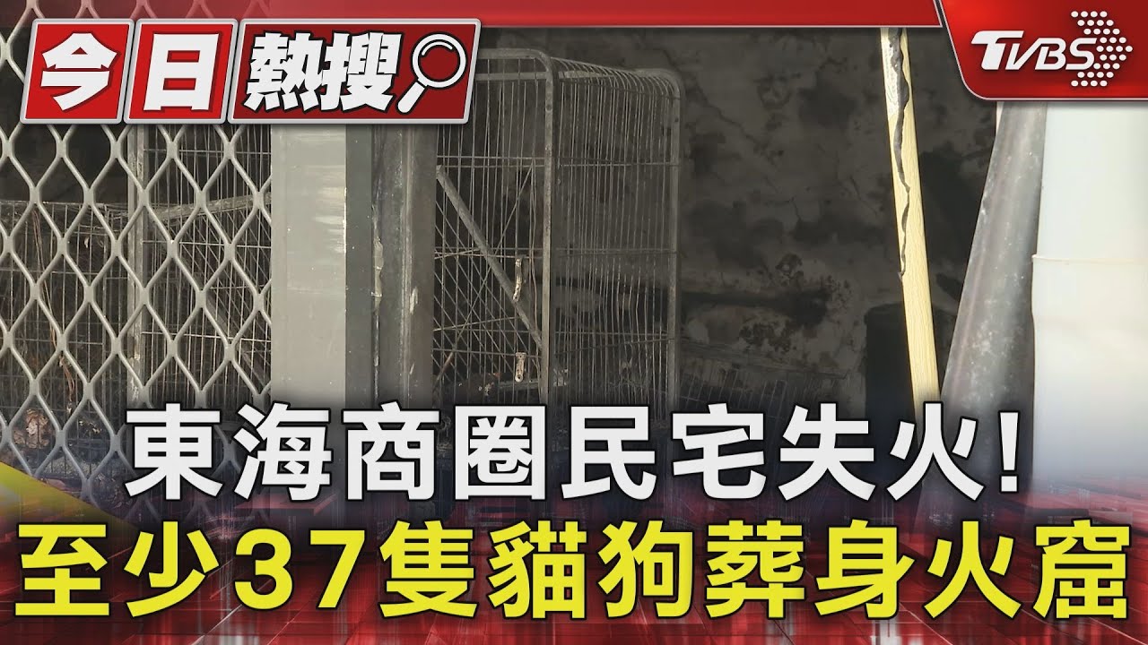 東海商圈民宅失火！　至少37隻貓狗葬身火窟