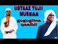 USTAAZ TUJII MUSSAA GOGOGIINA QAALBII