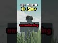 Exposing The TRUTH Of Roblox UGCs