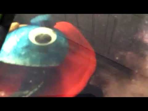 Meet More Hypothetical Stars, pt. 2- The Nians™