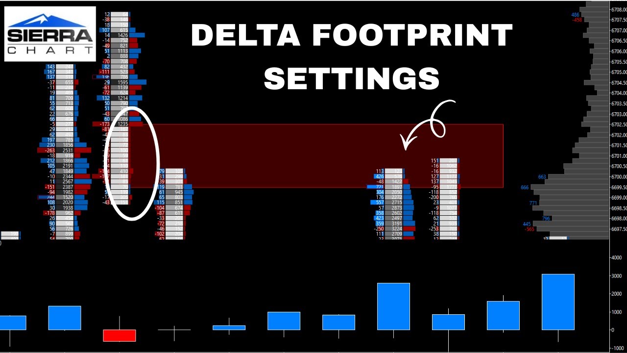 Sierra Charts Delta Footprint Settings