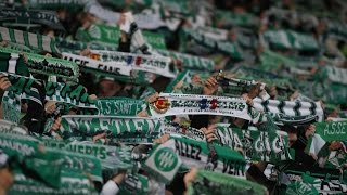 L'AS Saint-Etienne et le coq sportif, l'histoire d'amour continue ! #LCSFOOTBALL