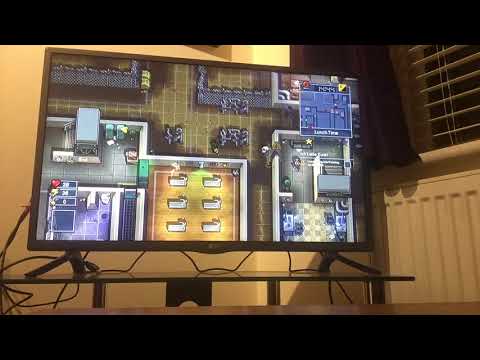 The escapists 2 H.M.P Offshore #12 Swimming With Dolphins