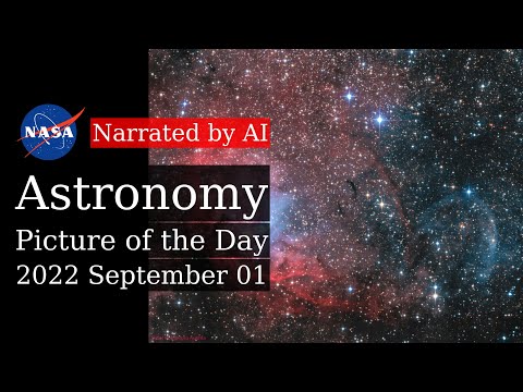 APOD: 2022-09-01 - The Tulip and Cygnus X-1 (Narrated by Joanna)