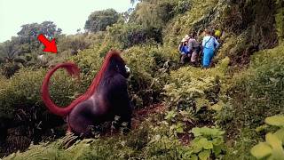 El Hallazgo en el Amazonas que los Científicos Intentan Descifrar Hoy